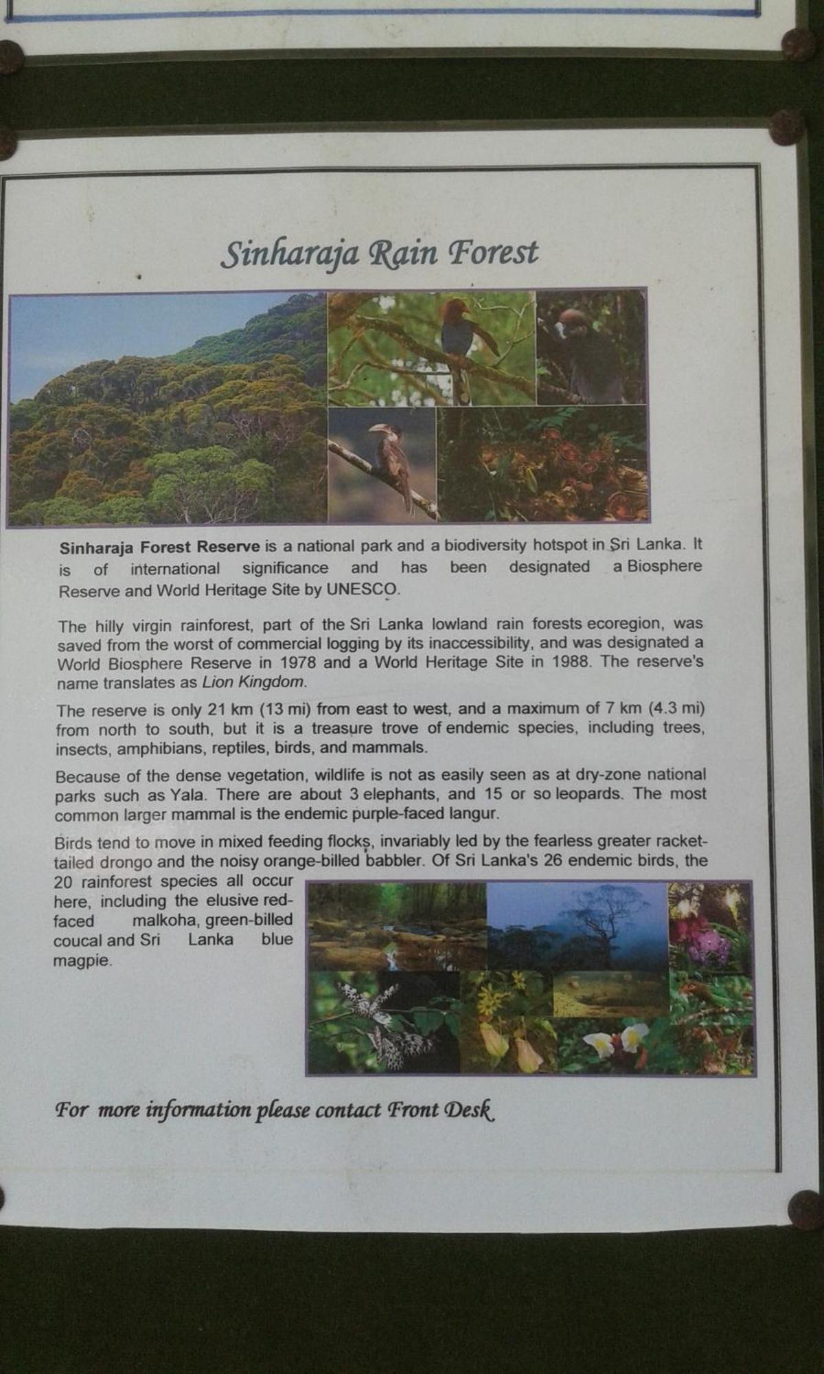 Kaween Homestay Weligama Esterno foto