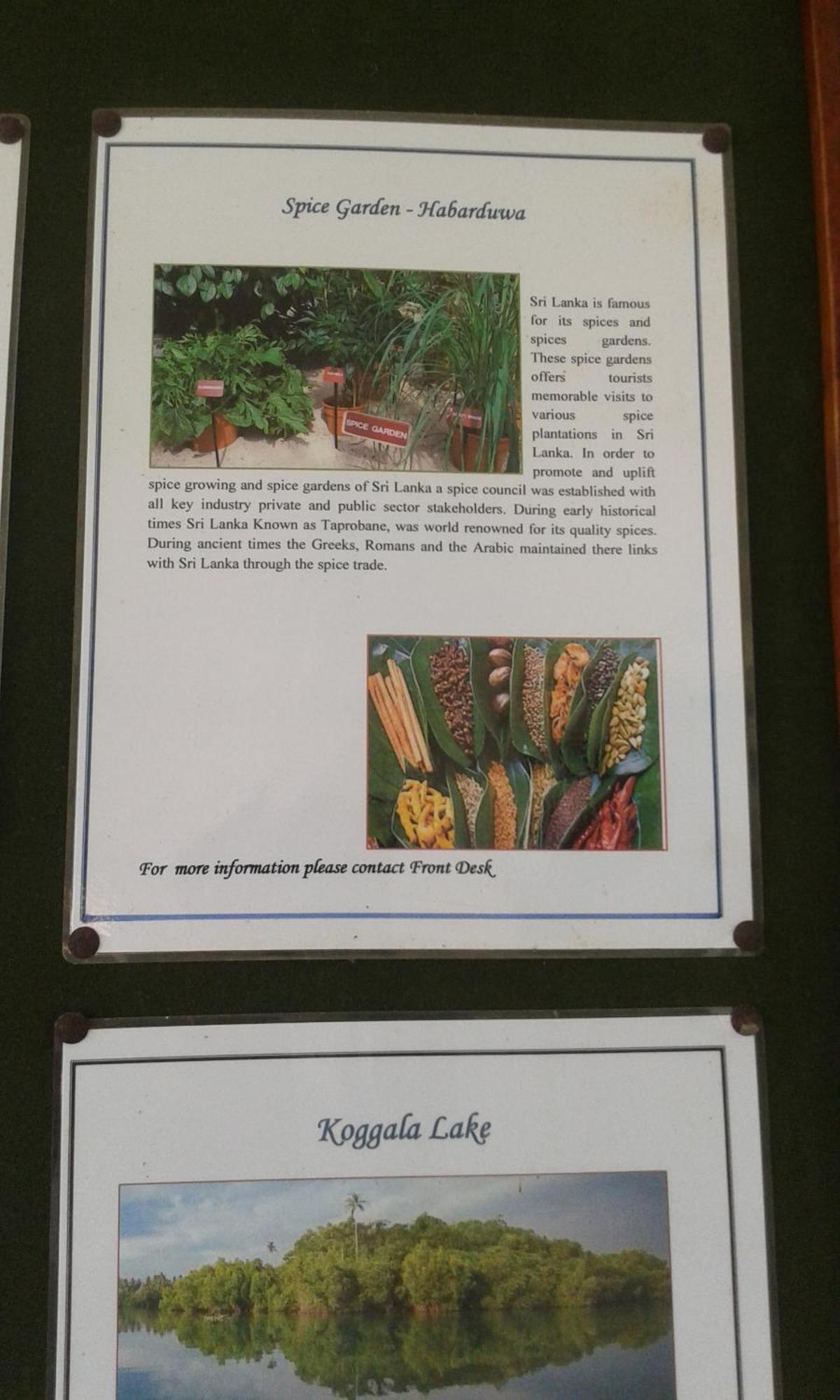 Kaween Homestay Weligama Esterno foto